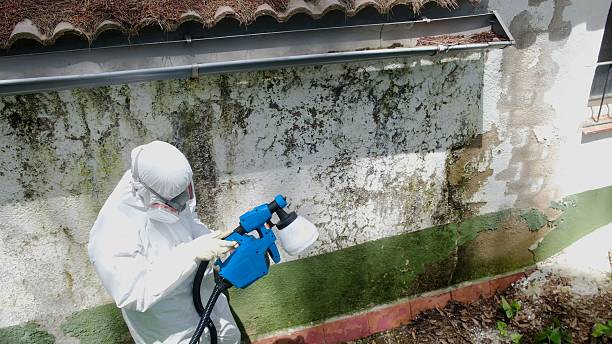 Top rated local Attic Mold Removal specialists in Joint Base Mdl, NJ